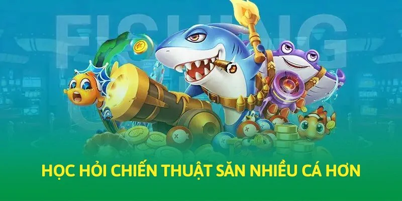 Học hỏi chiến thuật săn nhiều cá hơn
